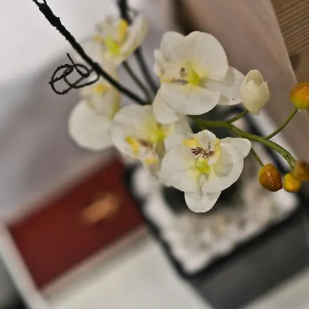 Garni Krevet&dorucak