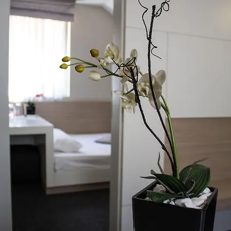 Bed and Breakfast Garni Krevet&dorucak 3*