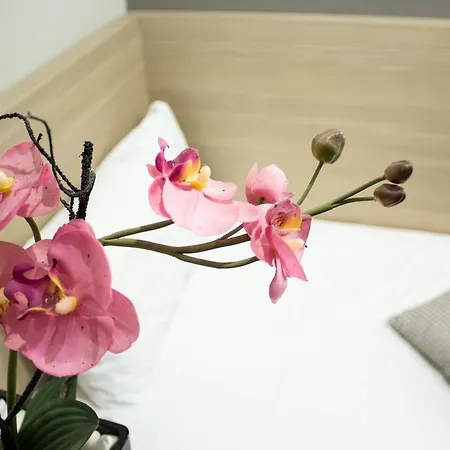 Garni Krevet&dorucak Bed & Breakfast Ni