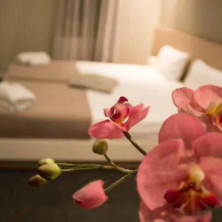 Garni Krevet&dorucak Bed and Breakfast Ni